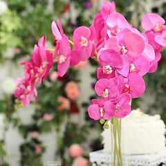 2 FUCHSIA 40″ tall Faux Silk Orchid Flowers Sprays Stems Wedding Decorations