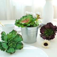Set of 3 6″ tall Assorted Echeveria Rosettes Faux Succulent Picks Sprays Stems
