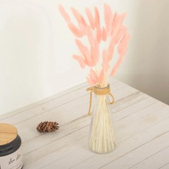 BLUSH 50 Stems 15″ Rabbit Tail Dried Natural Pampas Grass SPRAYS Party Events
