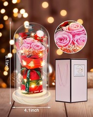 HVY Preserved Flowers in Glass for Her,Pink Real Rose Bouquet with LED Light,Ete