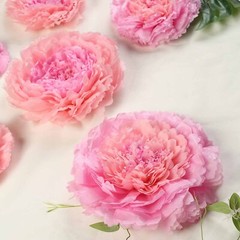 6 pack 7″ 9″ 11″ Blush and Pink Tissue Paper Carnation Flowers Backdrop