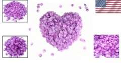Luxurious 2200 Count Light Purple Rose Petals for Weddings & Special Occasions