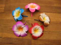 Frangipani Hairclips 7cm flower with matching color clips.