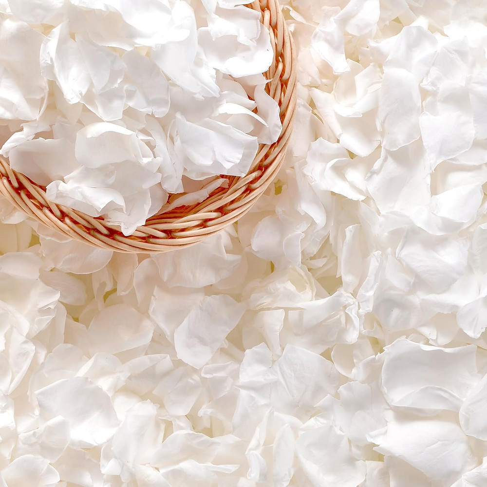 500+ PCS Real White Rose Petals, 4.57Oz (130G) Preserved White Flower Petal for