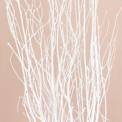 6 White Extra Long 46″ Birch Tree Branches Vase Fillers FLOWERS STEMS Wedding