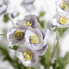 LAVENDER 2 Bushes 33″ Stem Silk Artificial Poppy FLOWER SPRAYS Party Decorations