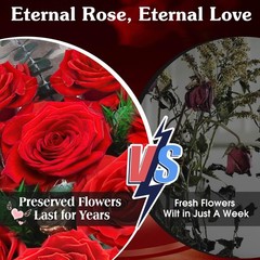 ADDWel 24 Pcs Preserved Real 24 Roses, Red Roses Bouquet – 24