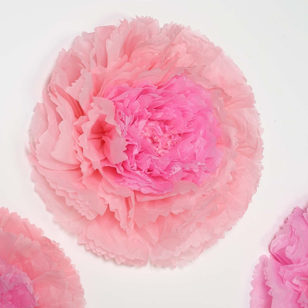 6 pack 12″ 16″ 20″ Blush and Pink Tissue Paper Carnation Flowers Home Backdrop