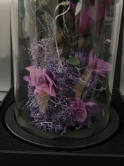 DENIMOMO Flowers Roses Gifts for Women Her,Forever H7.8in W4.7in, Purple Rose