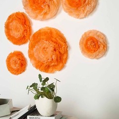 6 pack 7″ 9″ 11″ Coral and Orange Tissue Paper Carnation Flowers Backdrop