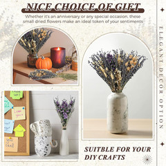 4 Pack Large Size Boho Dried Flower Bouquet 15-17 Inch Wedding Handmade Dry Flow