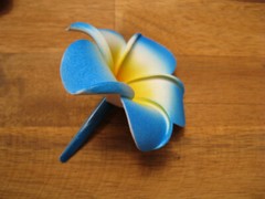 Frangipani Hairclips 7cm flower with matching color clips.