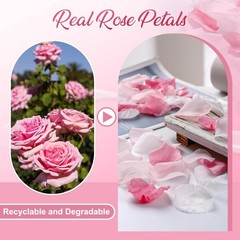 300 PCS Real Pink White Rose Flower Petals Confetti for Wedding Flower Girl