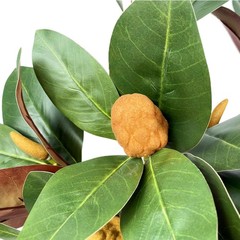 Set of 4 Magnolia Branches 32 Inch Long Artificial Magnolia with Leaves Greenery