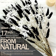 Bunny Tails Dried Flowers Bouquet Fluffy Nature Pampas Grass with Baby Black