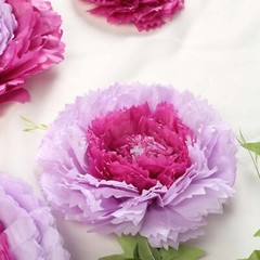 6 pack 12″ 16″ 20″ Lavender Tissue Paper Carnation Flowers Home Backdrop
