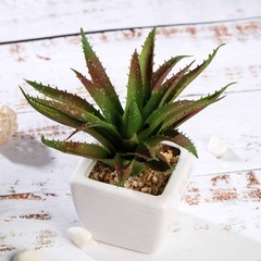 3 Green 5″ tall Mini Assorted Faux Aloe Succulent Plants White Ceramic Pots Home