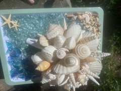 Natural Seashell Wedding Bouquet, Forever Keepsake, Beautiful One Of A Kind