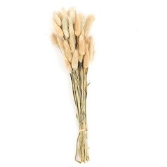 NATURAL 50 Stems 15″ Rabbit Tail Dried Natural Pampas Grass SPRAYS Party Events