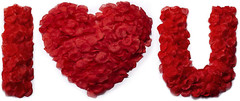 1200 Piezas De Petalos De Rosa Falsos Artificiales Para Bodas Rojo