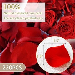 Natural Rose Petals Weddings Parties Crafts Romantic Decor Floral Arrangements