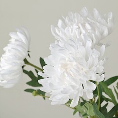 WHITE 3 Stems 27″ Silk Artificial Chrysanthemum FLOWERS Party Decorations