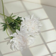 WHITE 3 Stems 27″ Silk Artificial Chrysanthemum FLOWERS Party Decorations