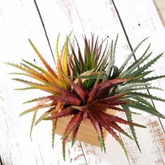 Orange Burgundy Green 12″ Aloe Faux Succulent Sprays Stems Wedding Centerpieces
