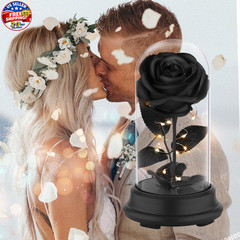 Forever Preserved Black Rose Birthday Gifts for Women,Eternal Flower Gifts for M