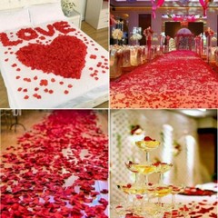 2200 PCS Dark-Red Silk Rose Petals for Romantic Night,Wedding,Proposal Annive…