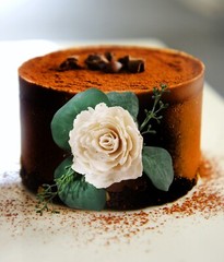 Ivory White Wedding Cake Flower Eucalyptus DIY Topper Reusable Sola Wood Decor