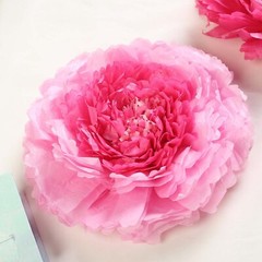 6 pack 12″ 16″ 20″ Pink and Fuchsia Tissue Paper Carnation Flowers Sale Backdrop