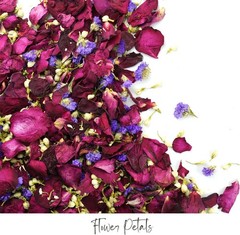 Instagram-Worthy Wedding Flower Petals – 50 Pack Rainbow Mix