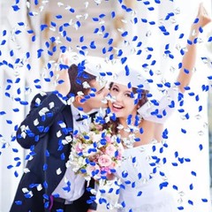 1200 Pcs Rose Petals,Blue White Silver Rose Petals Decoration White,blue,silver