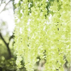 3 Pack Of 12 Each Wisteria Hanging Flowers 3.77 Feet Artificial Green New
