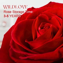 Forever Real Rose with Heart Necklace, Preserved for forever, Red