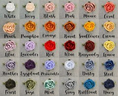 Burnt Orange Wedding Cake Topper Sola Wood Rose Flower Eucalyptus Reusable DIY