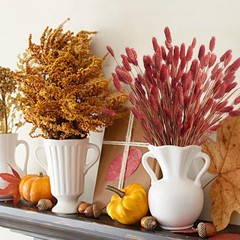 120pcs Fall Burnt Orange Bunny Tails Dried Flowers,17″