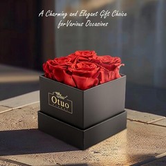 Preserved Roses in Gift Box, Real Eternal Rose Flower Gifts for Anniversary -Red