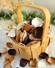 100 Rose Petals Boho Neutral Beige Flower Petals Western Fall Wedding Decor I Do