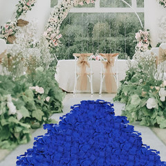 500 Pcs Exquisite Blue Rose Petals, Emulation Silk Rose Petals, Artificial Flowe