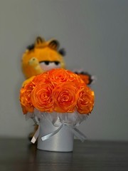 garfield bouquet
