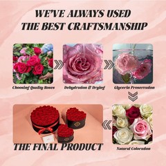 27 Preserved Roses in Heart-Shaped Box, Flowers for 27 Roses, Red