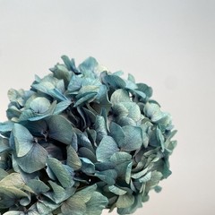 Hydrangea Double Mini Natural Dried Flowers Wedding Bouquet Decor