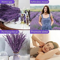 Dried Purple Lavender Flowers Bundle-Dried Preserved Lavender Purple-1.76oz