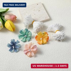 720 Pcs Flower Stamens, Stamens for Flower Making Double Heads Artificial Flower