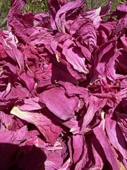 Air Dried Peony Petals Wedding Confetti Dried Flowers 10 Cups