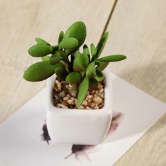 Green 3 Assorted 3″ Faux Small Succulent Plants Pots Wedding Centerpieces