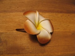 Frangipani Hairclips 7cm flower with matching color clips.