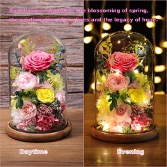 lovenfold Flowers for Delivery Preserved Rose in Glass Pink-spring